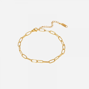 Paper Clip Anklet